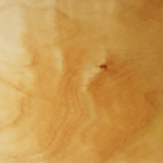 Close up of red alder wood texture